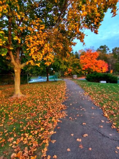 Woodfield Park - Hillsborough Township, NJ