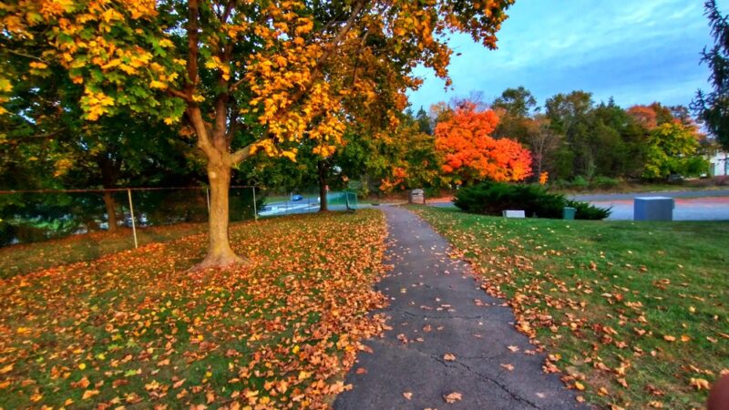 Woodfield Park - Hillsborough Township, NJ
