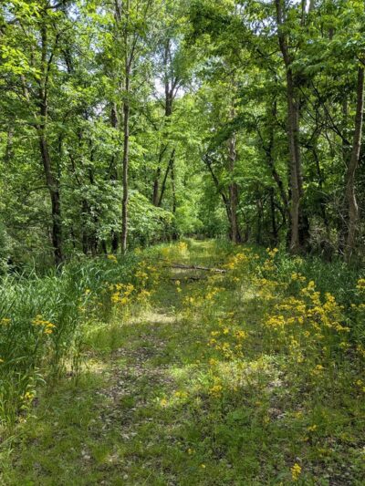 Trailhead Park - Hillsdale, IN