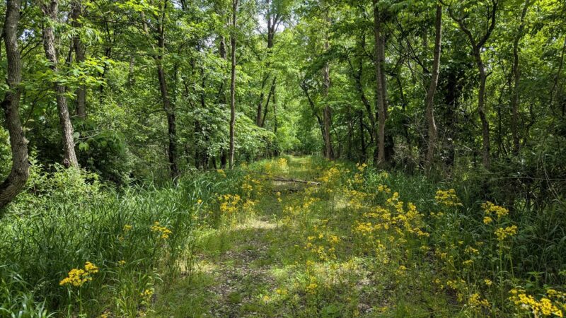 Trailhead Park - Hillsdale, IN