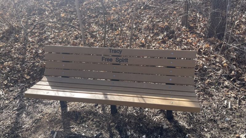 Harlem Valley Rail Trail Parking - Hillsdale, NY
