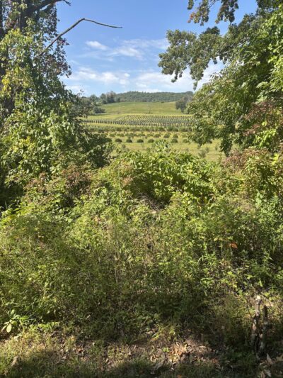 Harlem Valley Rail Trail parking - Hillsdale, NY