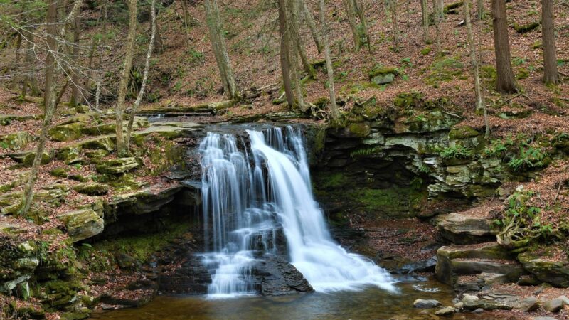 Dry Run Falls - Hillsgrove, PA