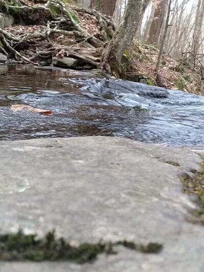 Dry Run Falls - Hillsgrove, PA