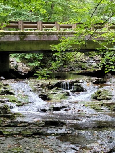 Dry Run Falls - Hillsgrove, PA
