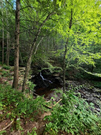 Dry Run Falls - Hillsgrove, PA