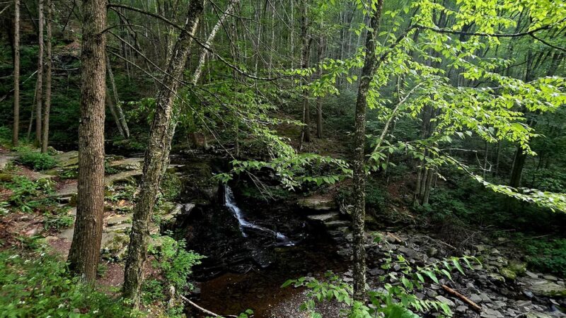 Dry Run Falls - Hillsgrove, PA