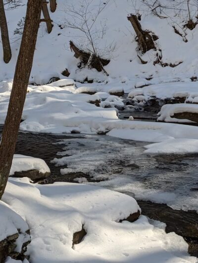 Dry Run Falls - Hillsgrove, PA