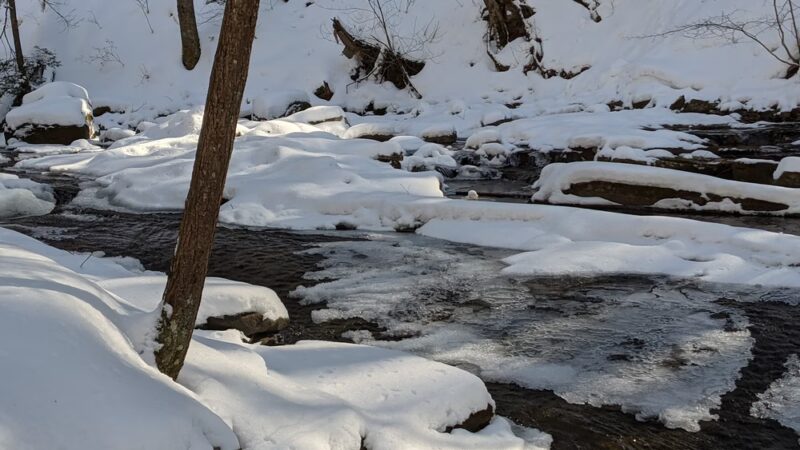 Dry Run Falls - Hillsgrove, PA