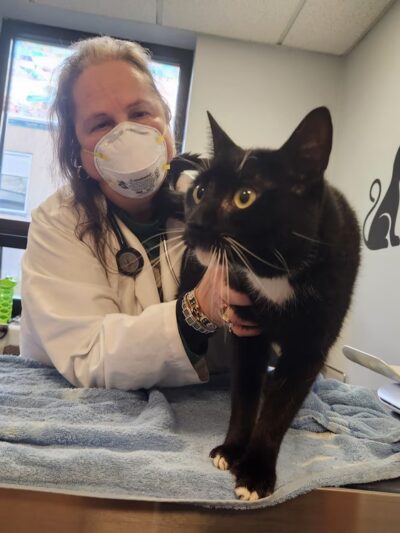 People For Animals, Inc. - Hillside, NJ