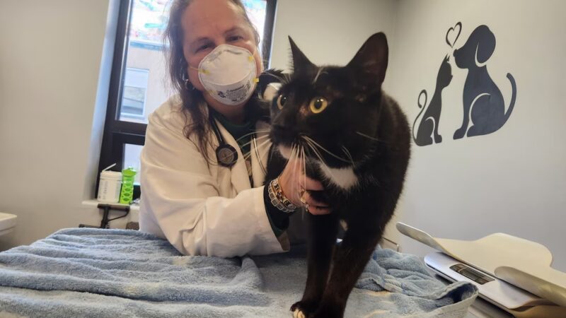 People For Animals, Inc. - Hillside, NJ