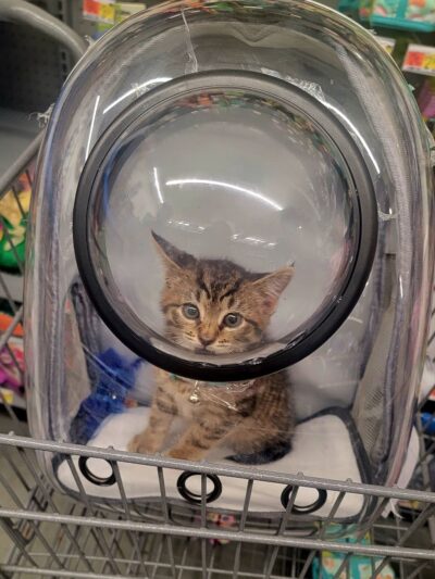 People For Animals, Inc. - Hillside, NJ