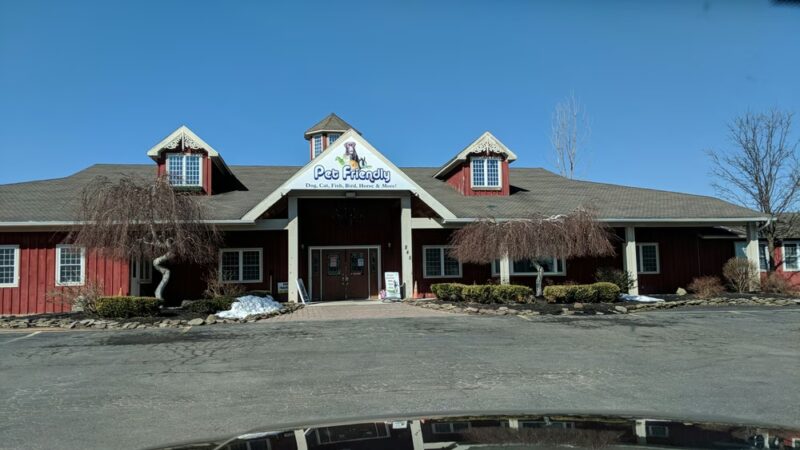 Pet Friendly - Hilton, NY