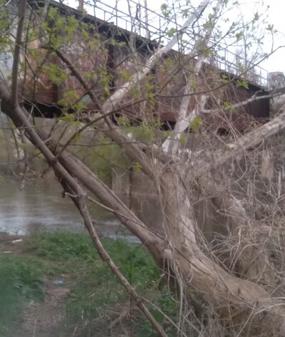 Salmon Creek Park - Hilton, NY