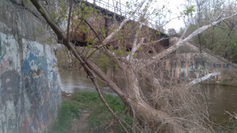 Salmon Creek Park - Hilton, NY