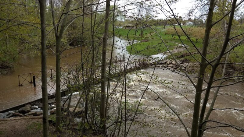 Village Park - Hilton, NY