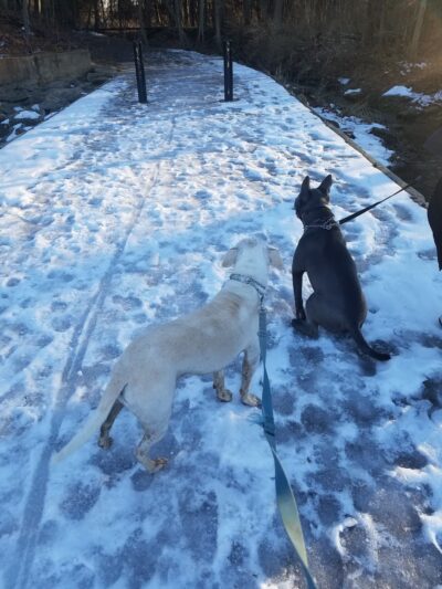 Village Park - Hilton, NY