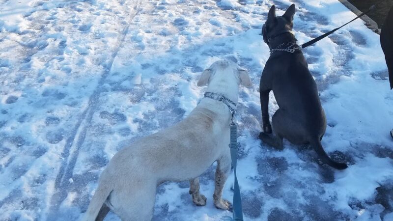 Village Park - Hilton, NY