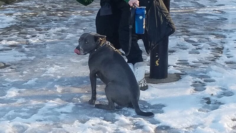 Village Park - Hilton, NY