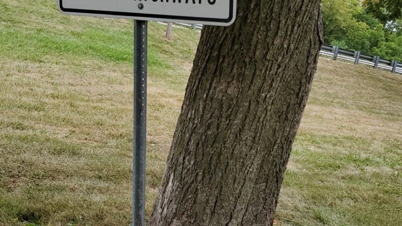 Roadside Park - Hinckley, IL