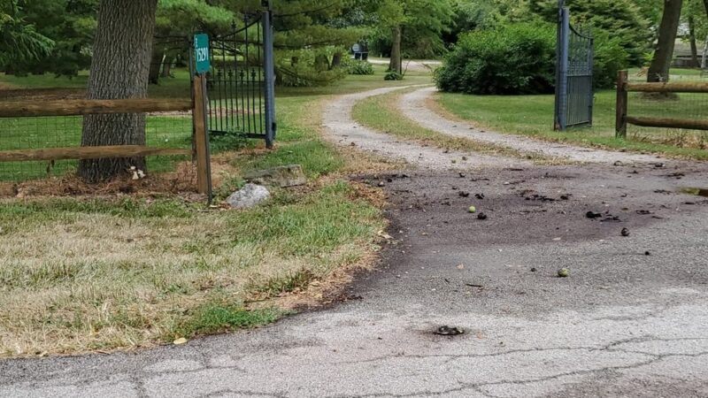 Roadside Park - Hinckley, IL