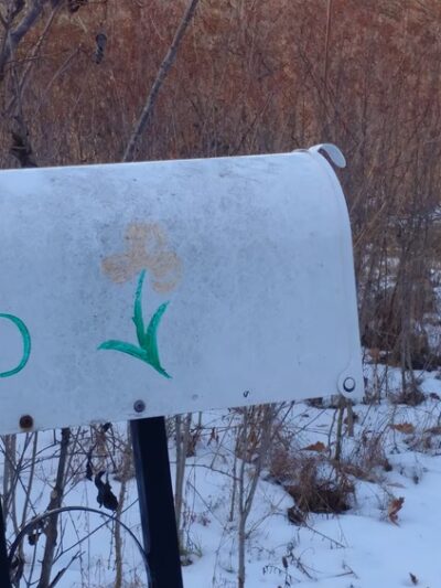 Geprags Community Park - Hinesburg, VT