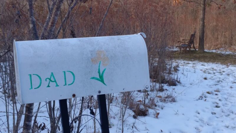 Geprags Community Park - Hinesburg, VT