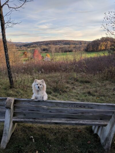 Geprags Community Park - Hinesburg, VT