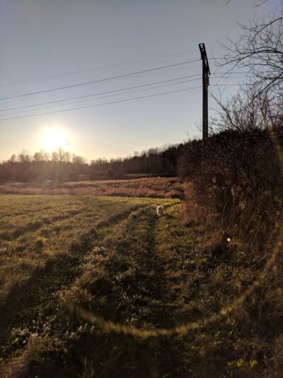 Geprags Community Park - Hinesburg, VT