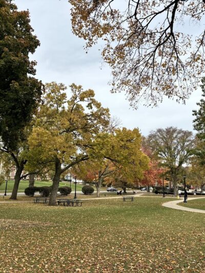 Burlington Park - Hinsdale, IL