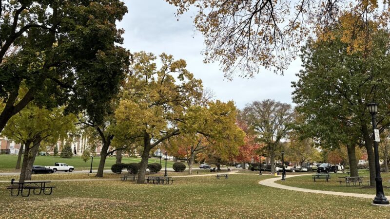Burlington Park - Hinsdale, IL