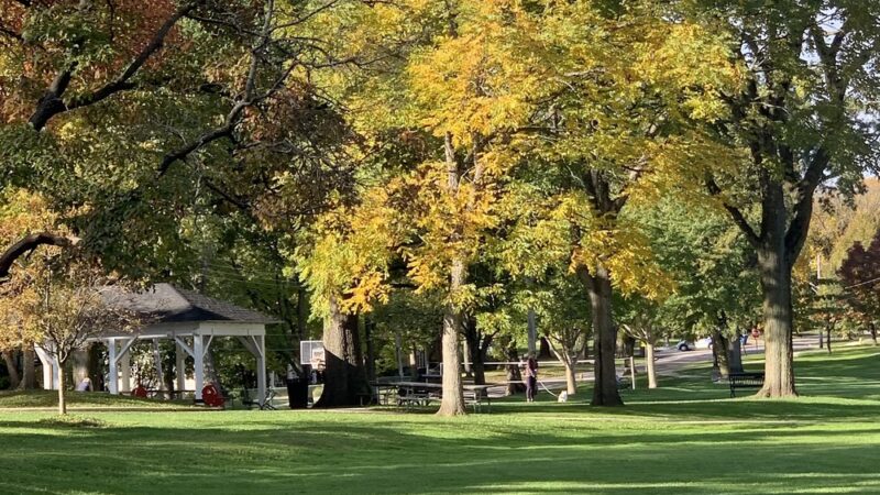 Burns Field Park - Hinsdale, IL