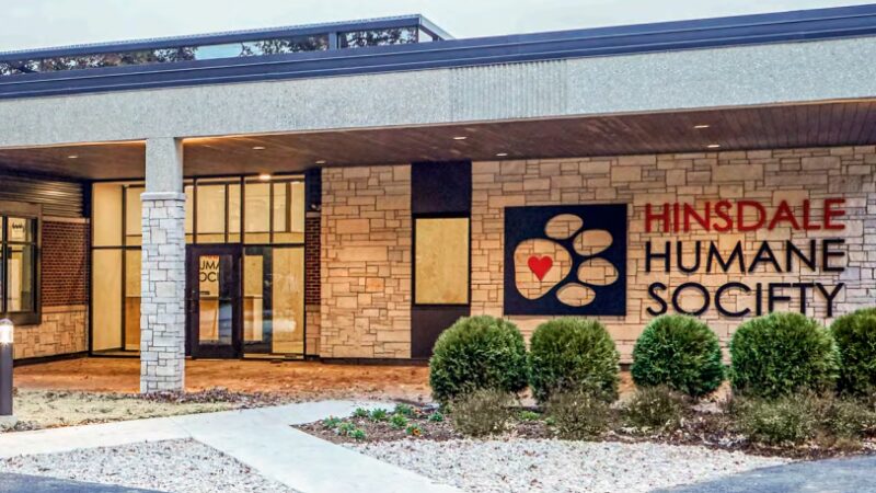 Hinsdale Humane Society - Hinsdale, IL