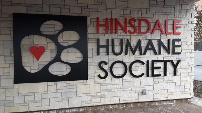 Hinsdale Humane Society - Hinsdale, IL