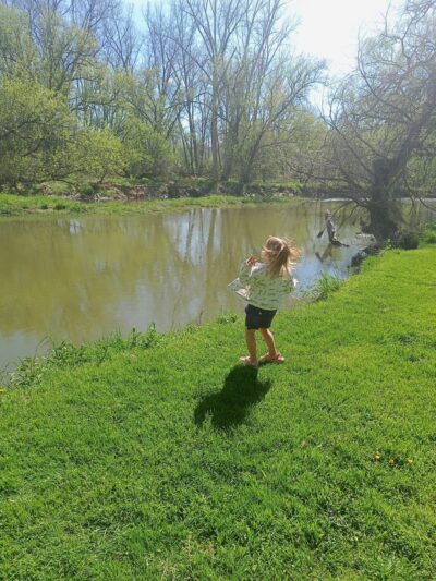 Gile Hollow Park - Hinsdale, NY