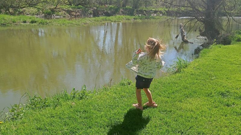 Gile Hollow Park - Hinsdale, NY