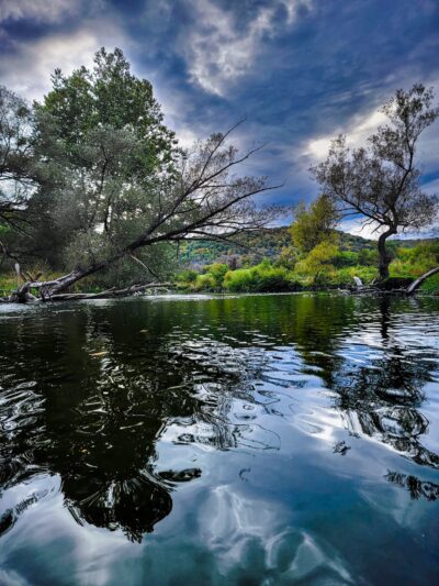 Gile Hollow Park - Hinsdale, NY
