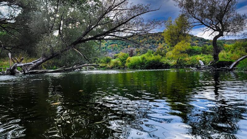 Gile Hollow Park - Hinsdale, NY