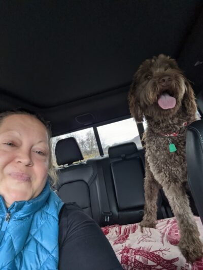 Waggy Tails Resort & Spa - Hinsdale, NY