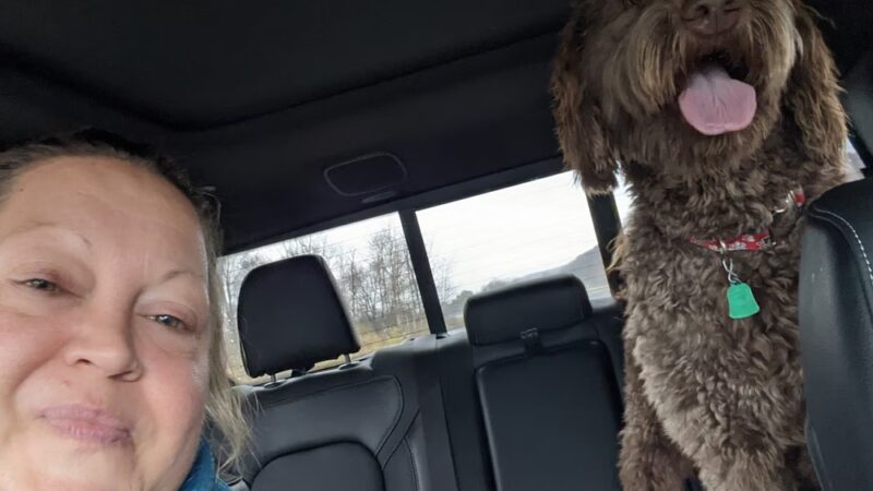 Waggy Tails Resort & Spa - Hinsdale, NY