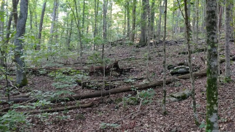 TVA Big Ridge Small Wild Area - Hixson, TN
