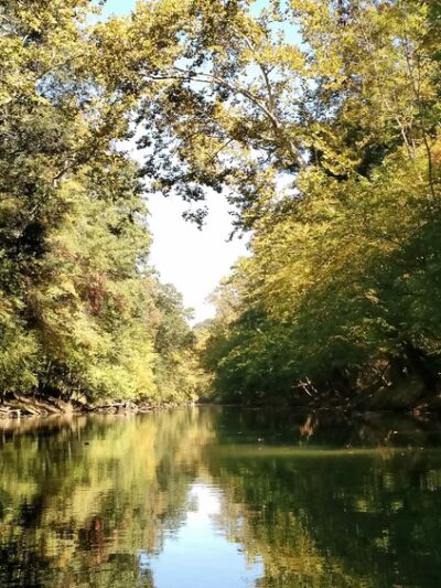 TVA Big Ridge Small Wild Area - Hixson, TN
