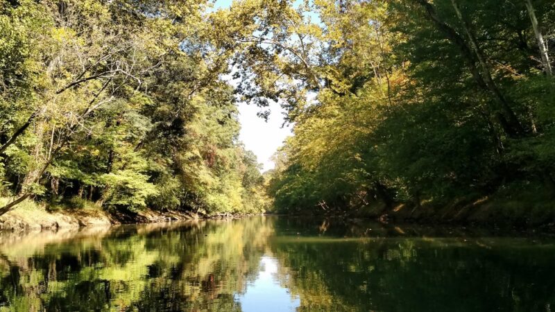 TVA Big Ridge Small Wild Area - Hixson, TN