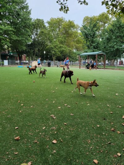 Church Square Park - Hoboken, NJ