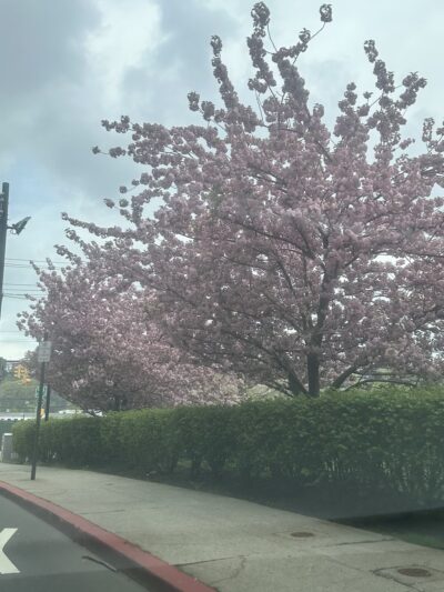 Harborside Park - Hoboken, NJ