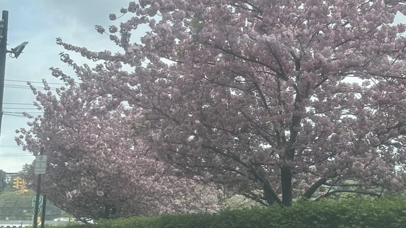 Harborside Park - Hoboken, NJ