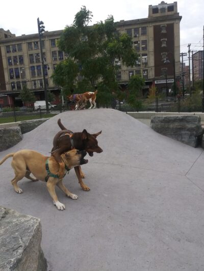 Southwest Park - Hoboken, NJ