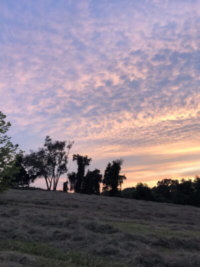 Auburn Valley State Park - Hockessin, DE