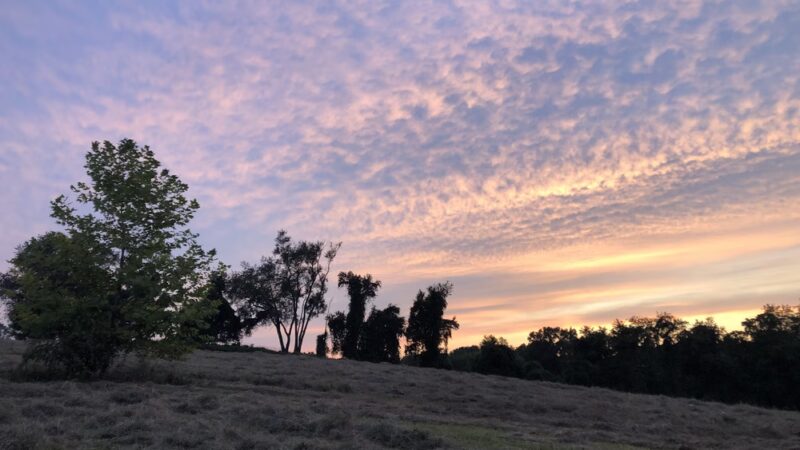 Auburn Valley State Park - Hockessin, DE