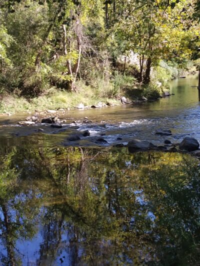 Red Clay Creek Trail Bridge - Hockessin, DE